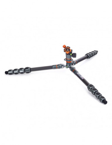 Pro 2.0 Albert Carbon tripod & AirHed...