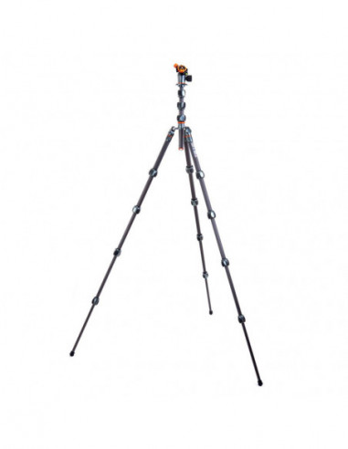Pro 2.0 Albert Carbon tripod & AirHed...