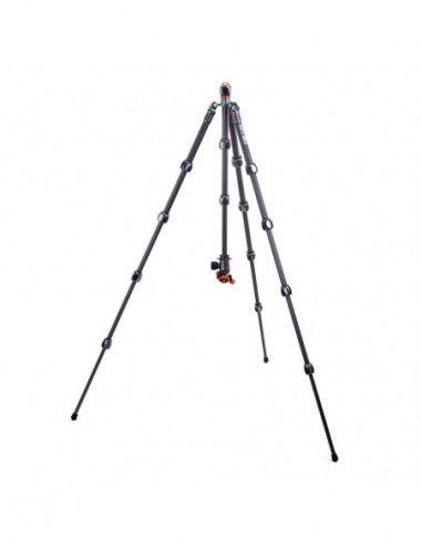 Pro 2.0 Albert Carbon tripod & AirHed...