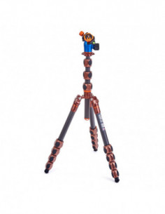 Pro 2.0 Albert Carbon...