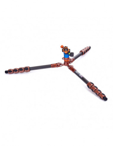 Pro 2.0 Albert Carbon tripod & AirHed...