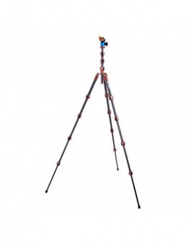Pro 2.0 Albert Carbon tripod & AirHed...