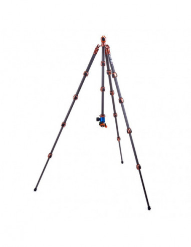 Pro 2.0 Albert Carbon tripod & AirHed...