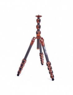 Pro 2.0 Albert Bronze...