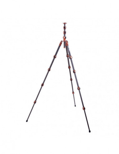 Pro 2.0 Albert Bronze Carbon tripod