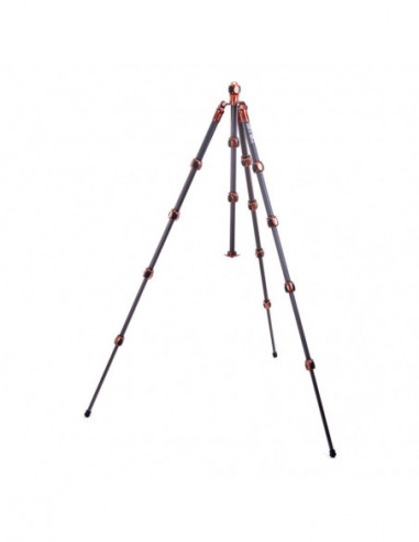 Pro 2.0 Albert Bronze Carbon tripod