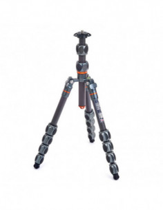 Pro 2.0 Leo Grey Carbon tripod