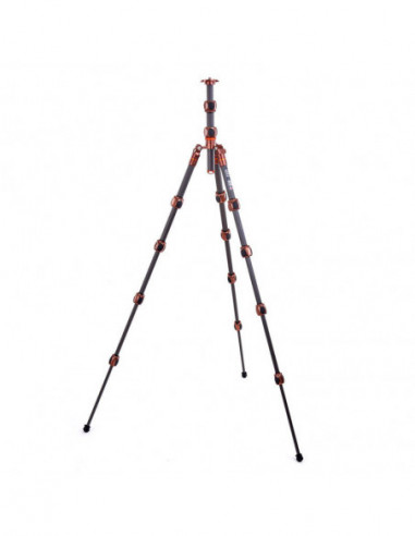 Pro 2.0 Leo Bronze Carbon tripod