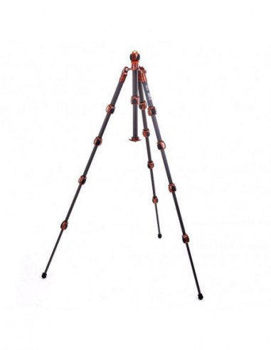 Pro 2.0 Leo Bronze Carbon tripod