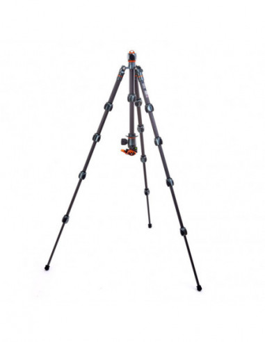 Pro 2.0 Leo Carbon tripod & AirHed...