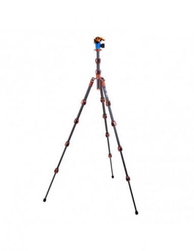 Pro 2.0 Leo Carbon tripod & AirHed...
