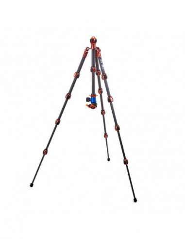 Pro 2.0 Leo Carbon tripod & AirHed...