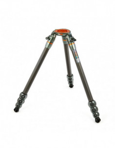 Legends Nicky Hybrid