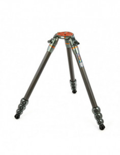 Legends Nicky Hybrid 2