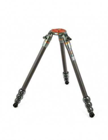 Legends Nicky Hybrid