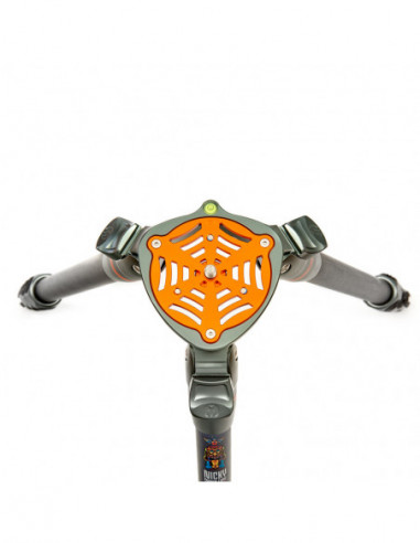 Legends Nicky Hybrid