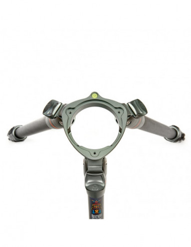 Legends Nicky Hybrid