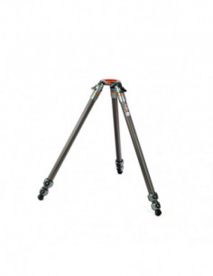 Legends Tommy Hybrid