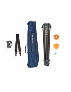 Legends Tommy Hybrid 2