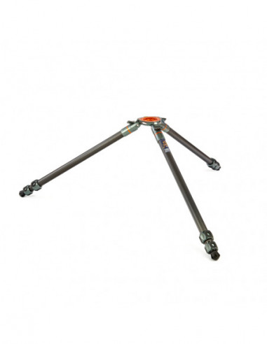 Legends Tommy Hybrid