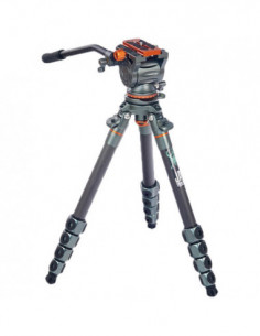 Legends Jay & AirHed Cine Arca