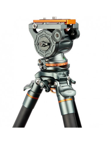 Legends Jay & AirHed Cine Arca