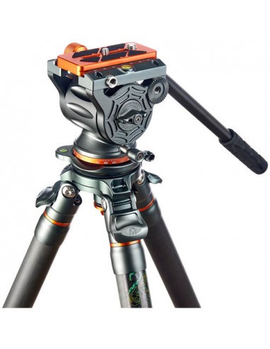 Legends Mike & AirHed Cine Arca Video...