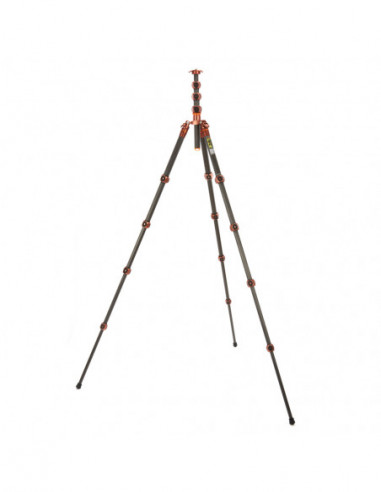 Legends Bucky Tripod Bronze