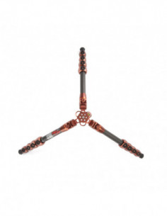 Legends Ray Tripod Bronze
