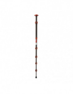 Legends Ray Tripod Bronze 2