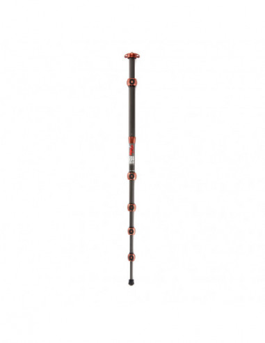 Legends Ray Tripod Bronze