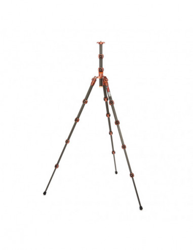 Legends Ray Tripod Bronze