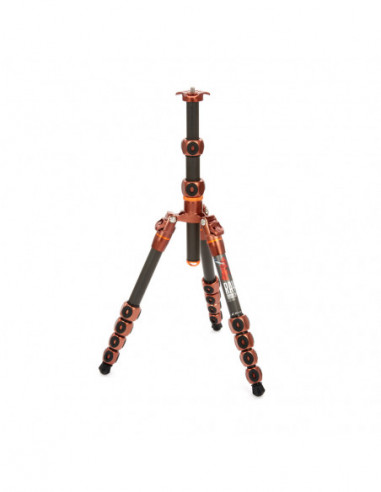 Legends Ray Tripod Bronze