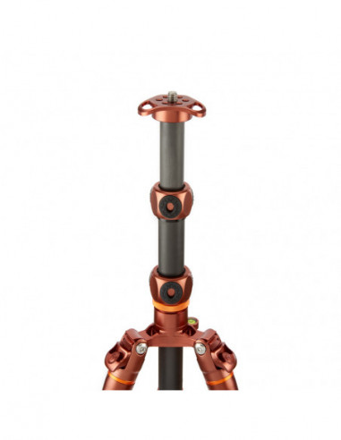 Legends Ray Tripod Bronze