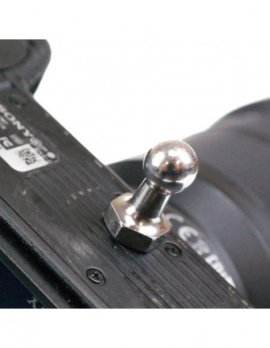 Spider Black Widow Holster Set