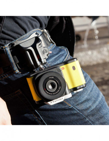 Spider Black Widow Holster Set