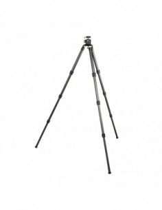 Radian Carbon with Ball... 2