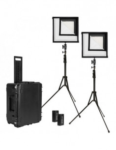 Flex Daylight 2 Light Cine...