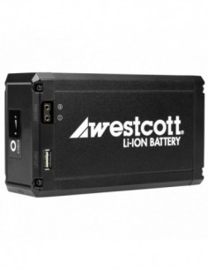 Flex Portable Battery 2