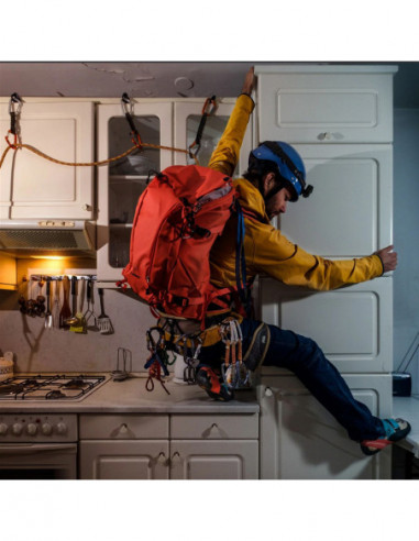 Lotus Essentials Bundle Nasturtium...