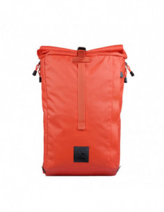 Dalston Nasturtium (Orange) 2