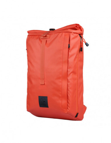 Dalston Nasturtium (Orange)