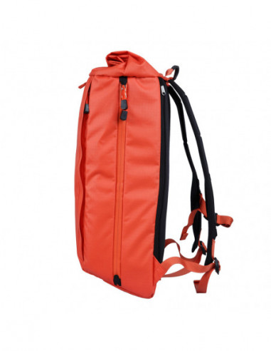 Dalston Nasturtium (Orange)