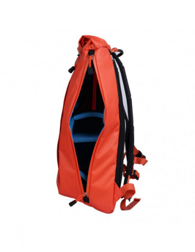 Dalston Nasturtium (Orange)