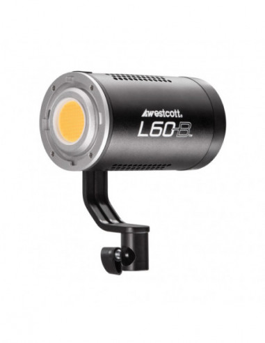 L60 B Bi Color COB LED (60W)