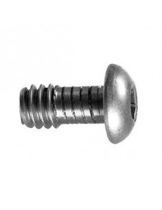 SW 100 Lens Plate Screw