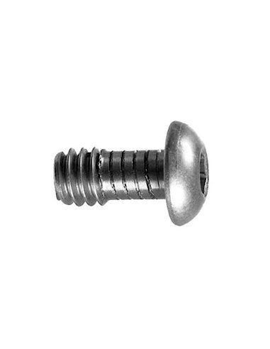 SW 100 Lens Plate Screw
