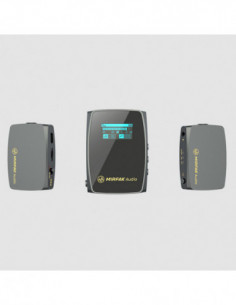 DUAL CHANNEL COMPACT...