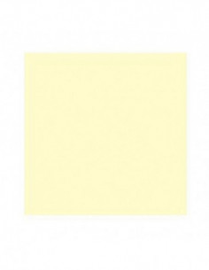 Filter Z729 Yellow CC (CC50Y)