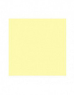 Filter Z725 Yellow CC (CC30Y)